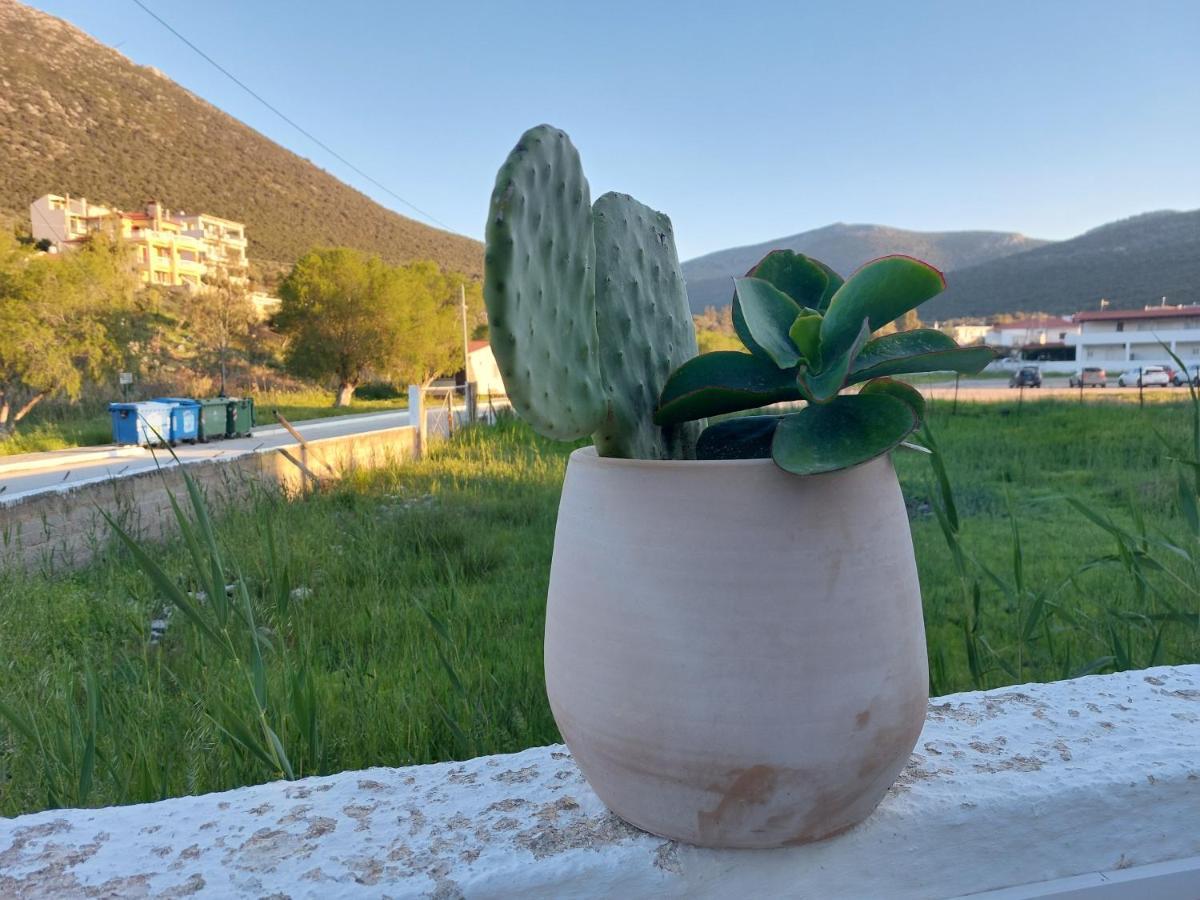 Vitamin Sea Apartment 4, Άνετο Διαμέρισμα. Almiropótamos エクステリア 写真